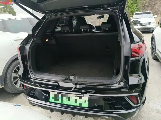 JAC Motors QX PHEV — Фото автомобиля 18