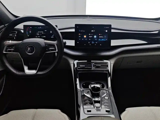 BYD Qin PLUS — Фото автомобиля 12