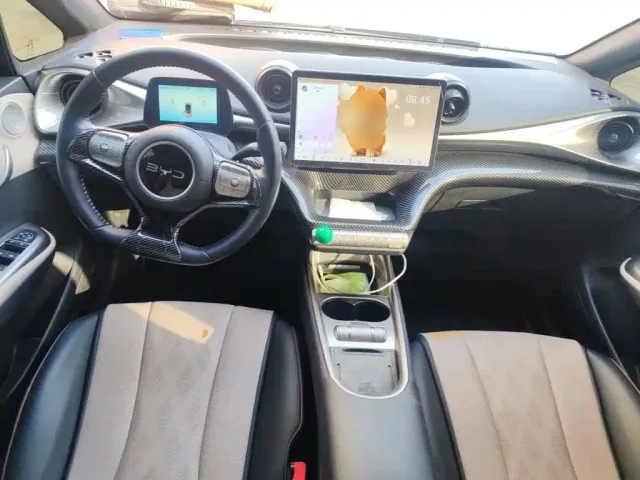 BYD Dolphin — Фото автомобиля 10