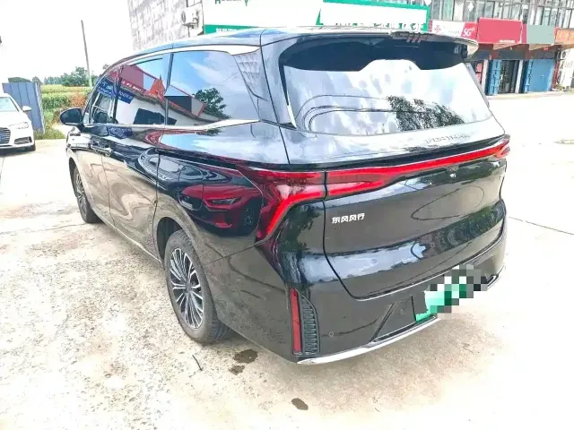 Forthing Xinghai V9 — Фото автомобиля 4