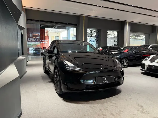 Tesla Model Y — Фото автомобиля 18