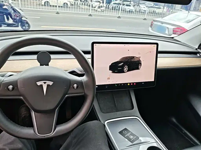 Tesla Model Y — Фото автомобиля 9