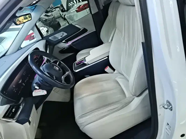 Buick Century 2023 2.0T 6-Seat World Edition — Фото автомобиля 14