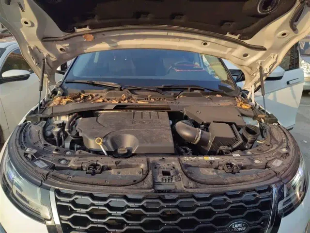 Land Rover Range Rover Evoque — Фото автомобиля 16