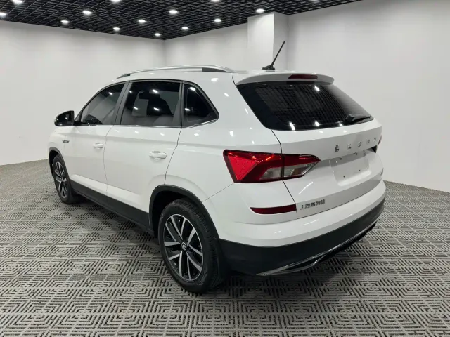 Skoda Kamiq — Фото автомобиля 9