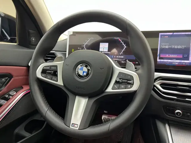 BMW 3 Series — Фото автомобиля 19