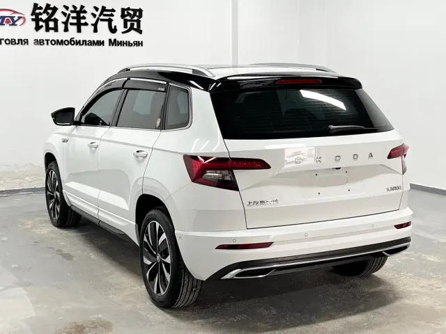 Skoda Karoq — Фото автомобиля 6