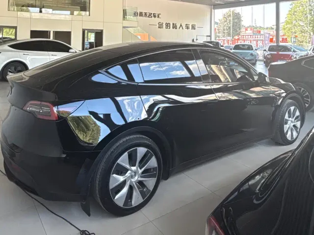 Tesla Model Y 2021 Standard Range Rear-Wheel Drive — Фото автомобиля 6