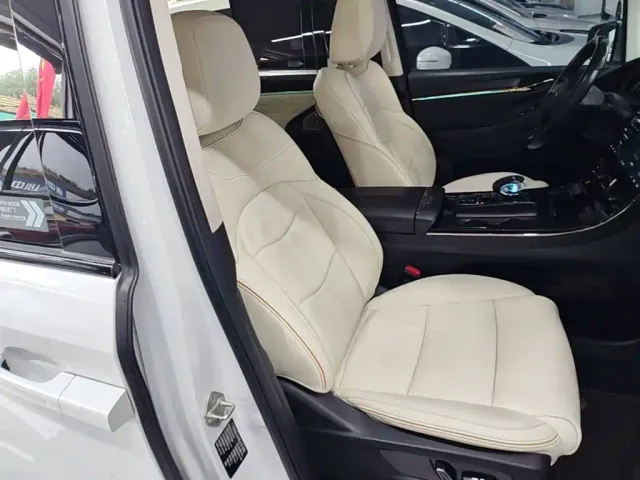 GAC Trumpchi E9 — Фото автомобиля 24