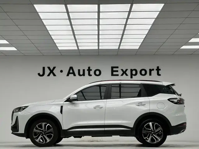 Chery Tiggo 7 PLUS — Фото автомобиля 19