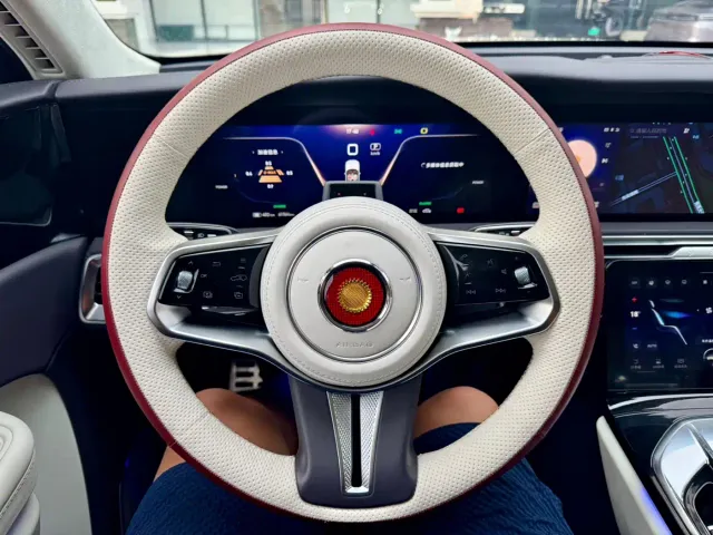 Hongqi E-HS9 — Фото автомобиля 7