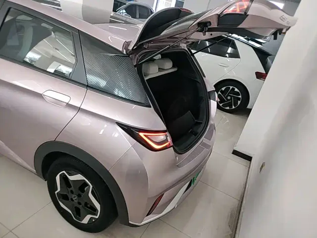 BYD Dolphin — Фото автомобиля 18