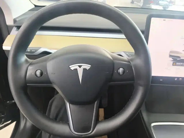 Tesla Model Y — Фото автомобиля 10
