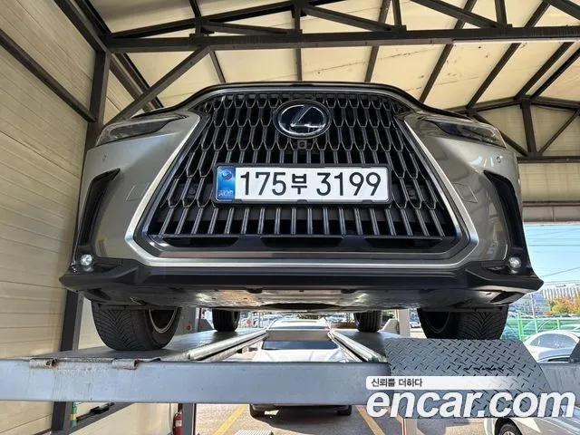Фотография автомобиля — Lexus NX 2nd Gen