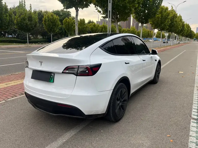 Tesla Model Y — Фото автомобиля 10
