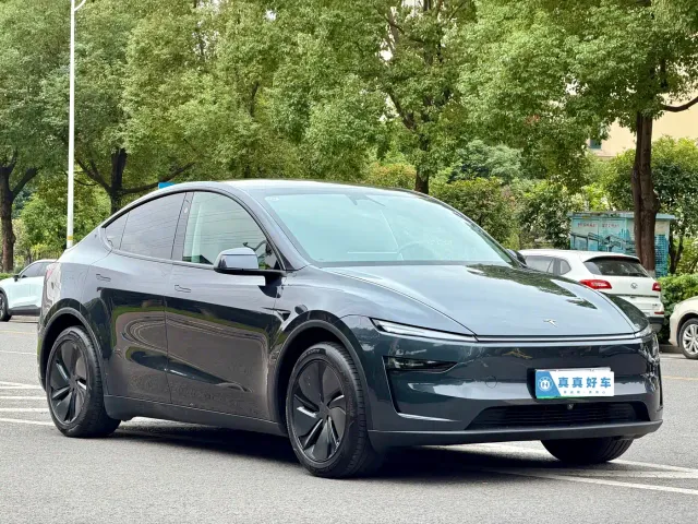Tesla Model Y — Фото автомобиля 3