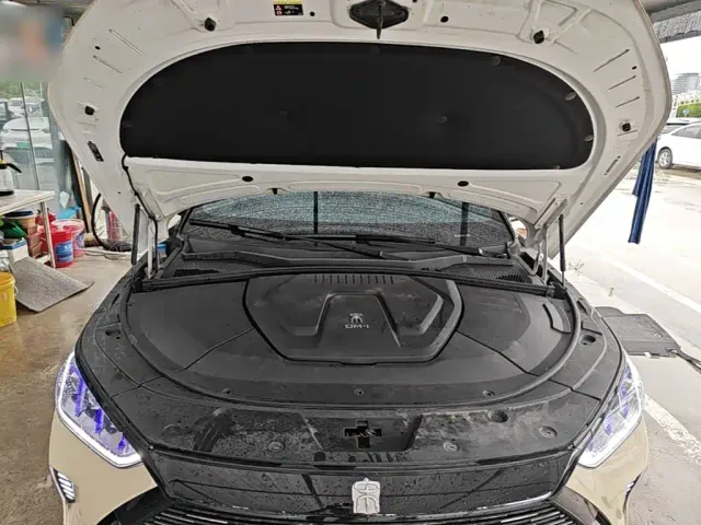BYD Song PLUS — Фото автомобиля 21