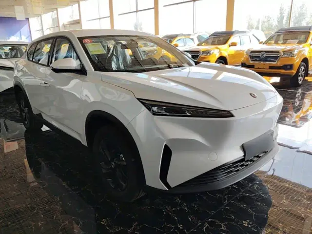 Dongfeng SKY EV01 — Фото автомобиля 3