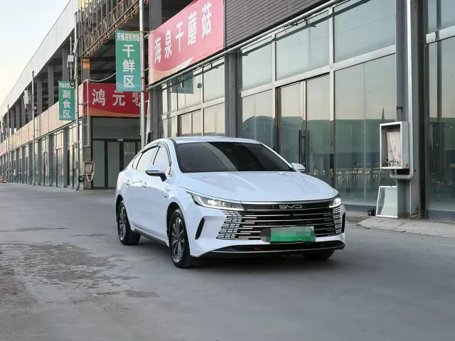BYD Destroyer 05 — Фото автомобиля 3