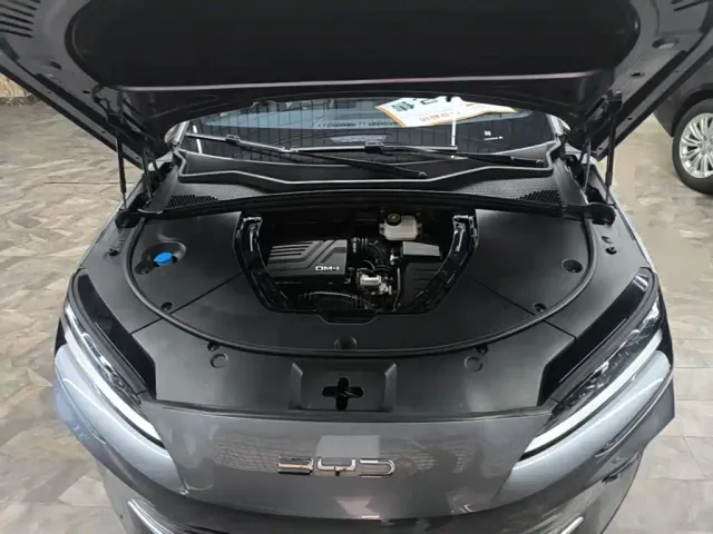 BYD Song PLUS — Фото автомобиля 19