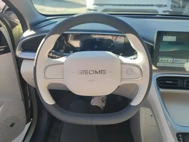 Geely Starry Wish — Фото автомобиля 15