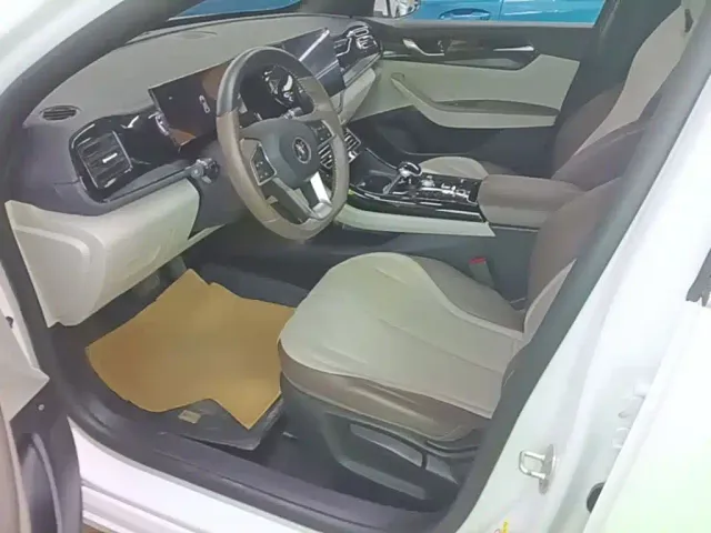 BYD Qin PLUS — Фото автомобиля 14