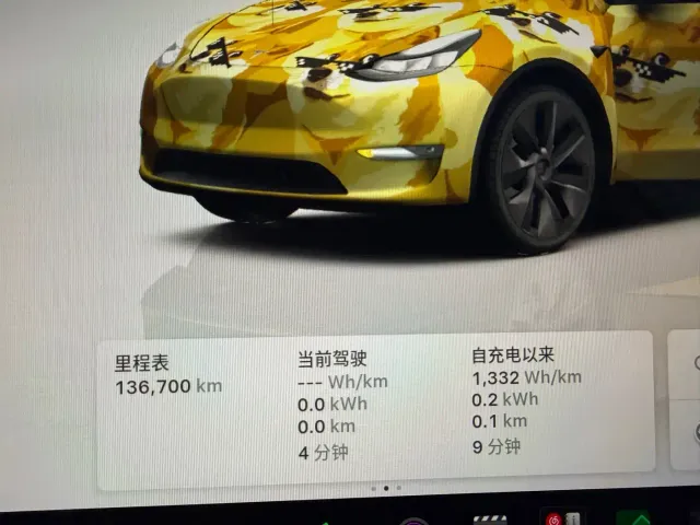 Tesla Model Y — Фото автомобиля 4