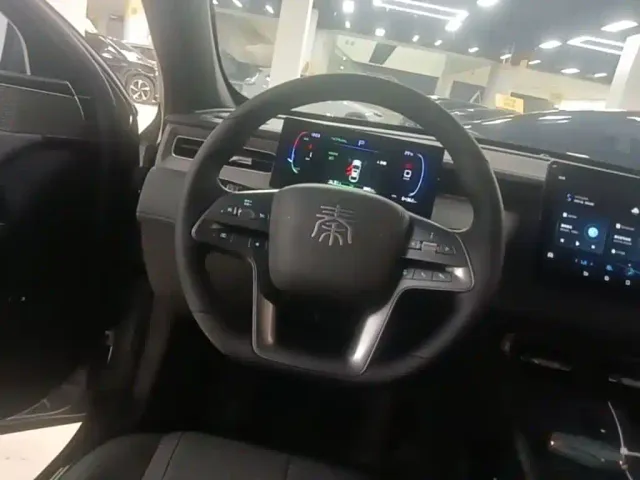 BYD Qin PLUS — Фото автомобиля 10