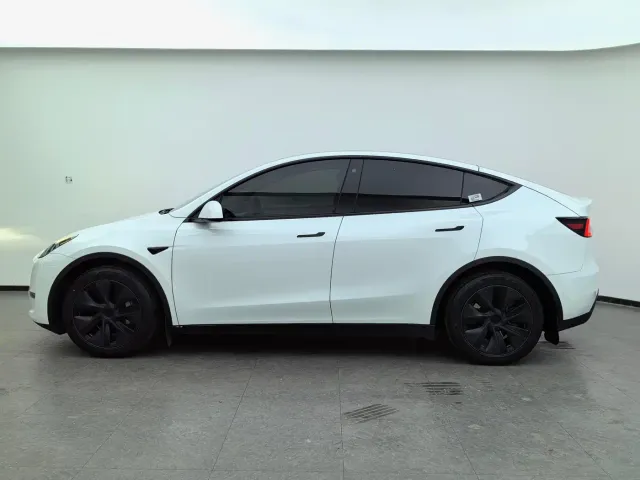 Tesla Model Y — Фото автомобиля 9
