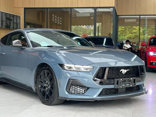 Ford Mustang — Фото автомобиля 10