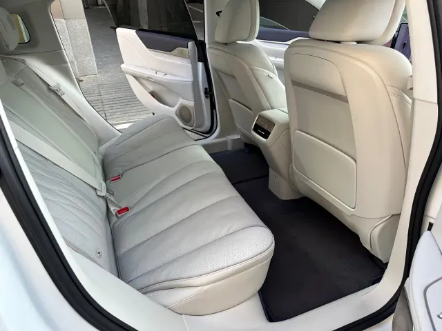 Buick Electra L7 — Фото автомобиля 9
