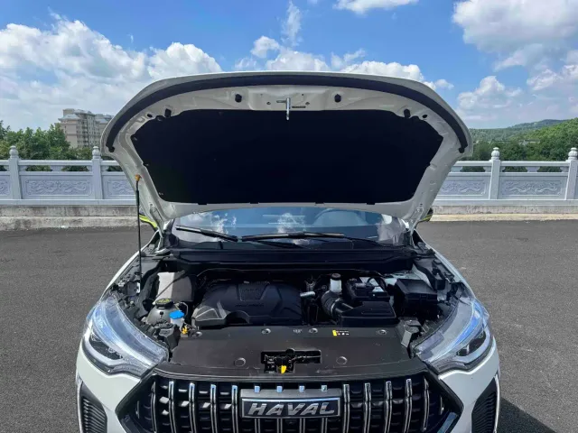 Haval Chitu — Фото автомобиля 19