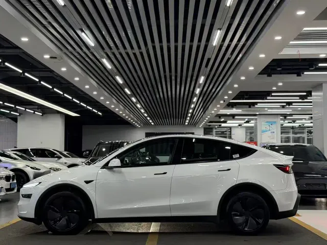 Tesla Model Y — Фото автомобиля 4