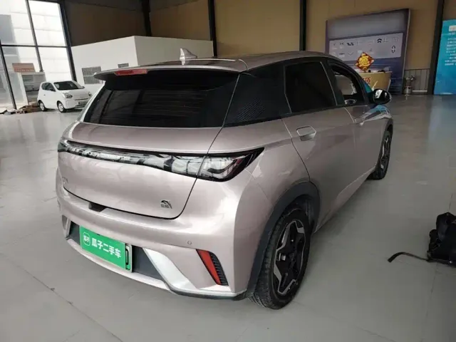 BYD Dolphin — Фото автомобиля 6