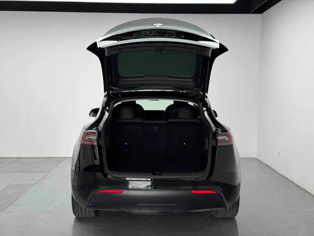 Tesla Model Y — Фото автомобиля 14