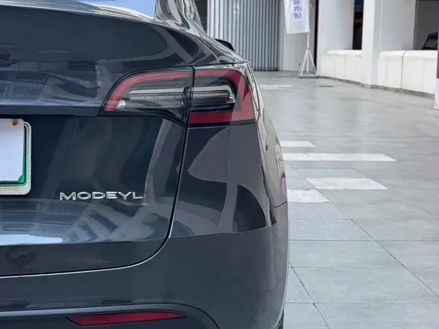 Tesla Model Y — Фото автомобиля 15
