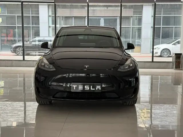 Tesla Model Y — Фото автомобиля 2