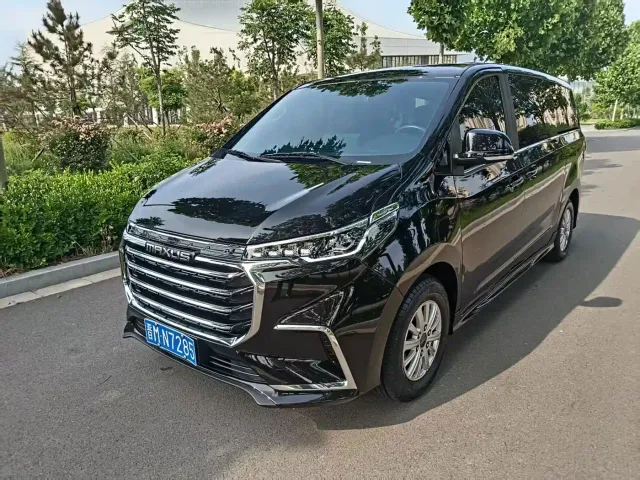 Фотография автомобиля — Maxus G20