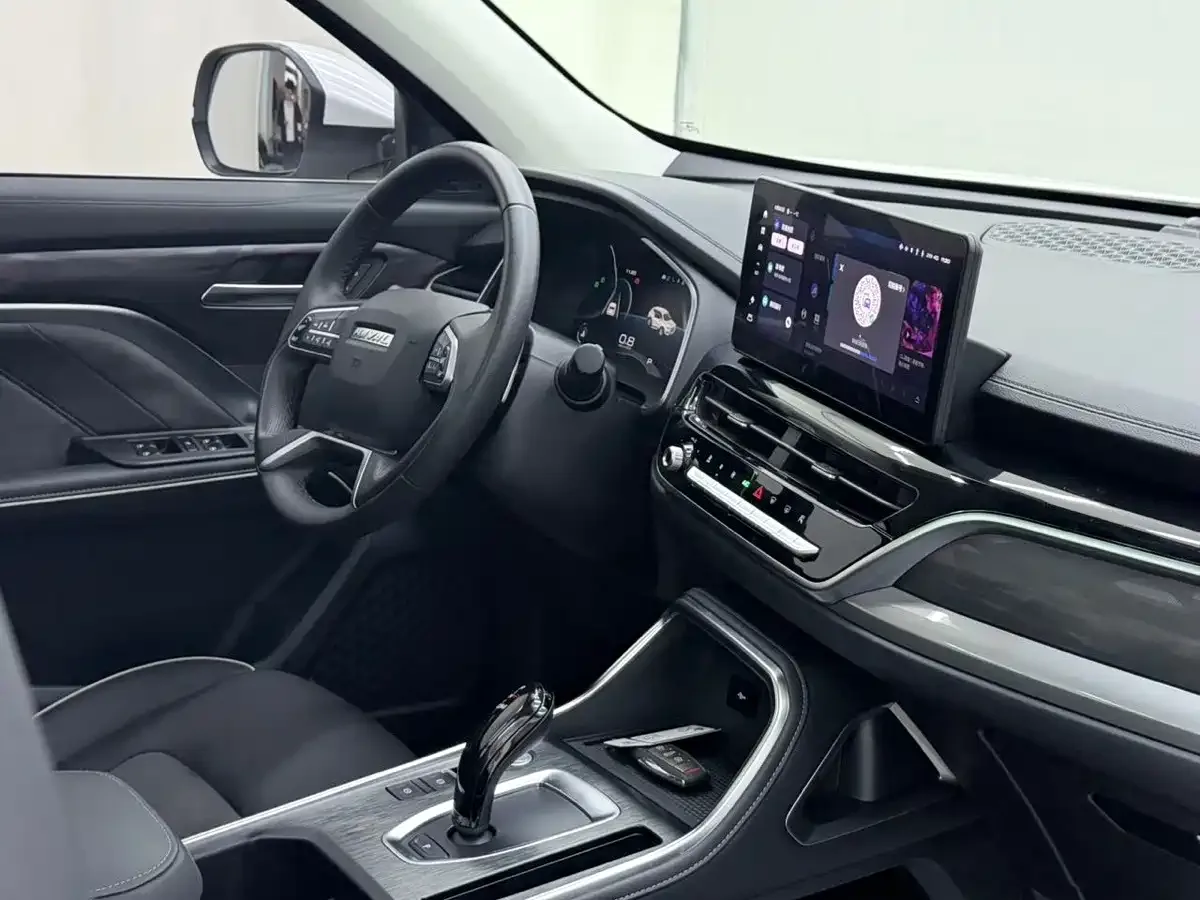 Haval Haval H6 2023 National Trend Edition 1.5T Automatic Champion — Фото автомобиля 9