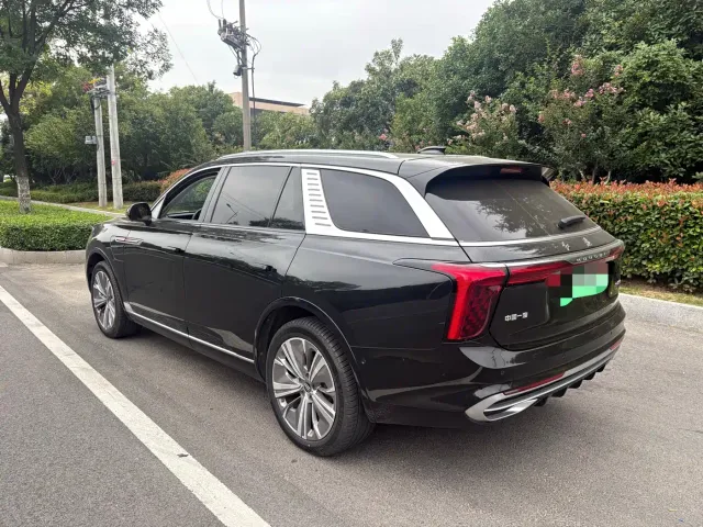 Hongqi E-HS9 — Фото автомобиля 6
