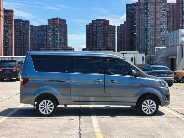 Jinbei Golden Sea Lion M Classic — Фото автомобиля 8