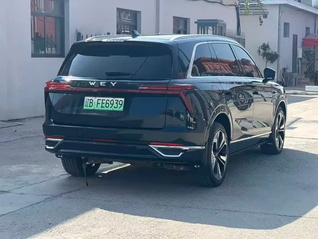 Wey Lanshan — Фото автомобиля 13