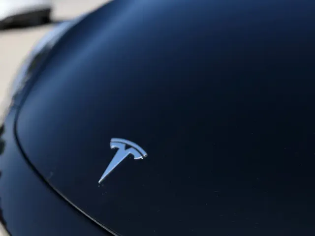 Tesla Model Y — Фото автомобиля 14