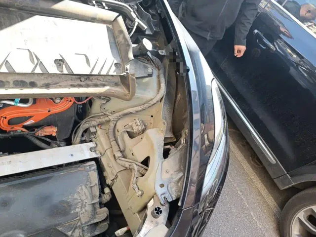 Tesla Model Y — Фото автомобиля 21