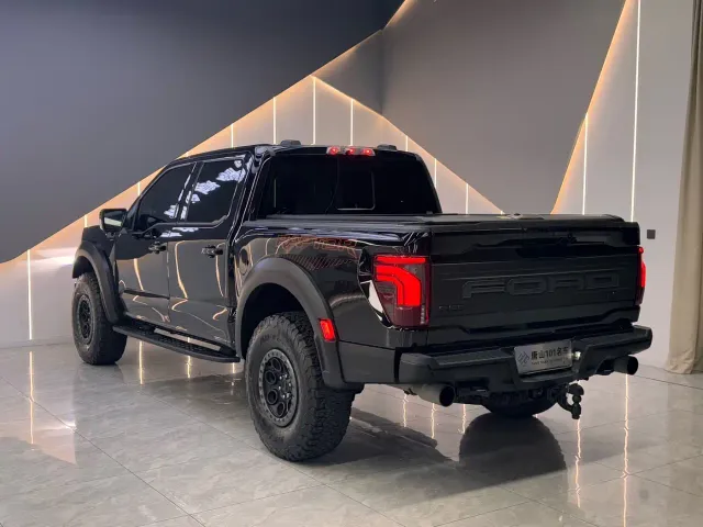 Ford F-150 Raptor — Фото автомобиля 9