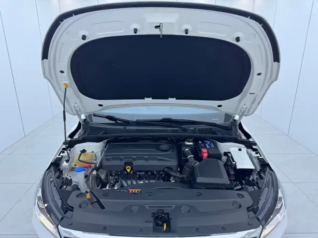 Geely Emgrand — Фото автомобиля 17