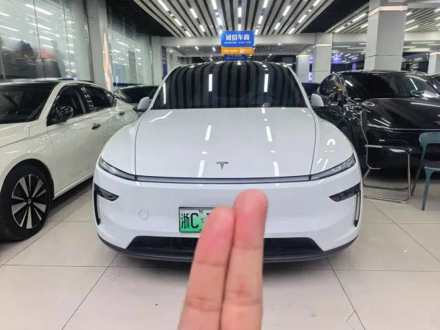 Tesla Model Y — Фото автомобиля 2