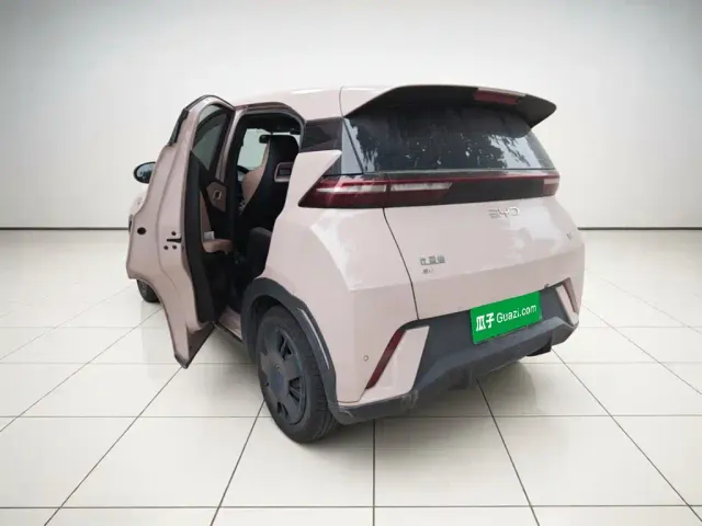 BYD Seagull — Фото автомобиля 24
