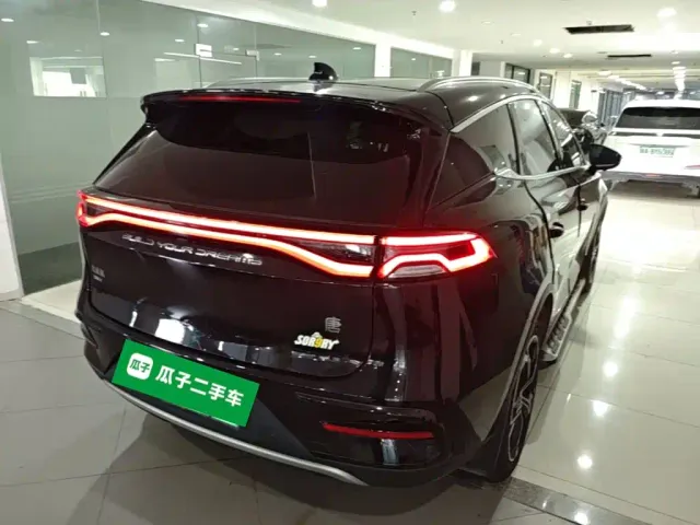 BYD Tang New Energy 2021 DM-i 112KM Honor — Фото автомобиля 6