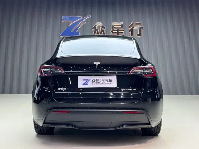 Tesla Model Y — Фото автомобиля 4